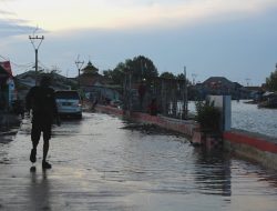 Menghijaukan Mayangan, Gerakan Penanaman Mangrove Untuk Menangkal Abrasi