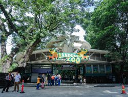 Ruang Terbuka Hijau Kota, Kebun Binatang Bandung Tetap Dibuka Untuk Masyarakat