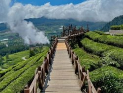 Wayang Windu Panenjoan Tawarkan Panorama Kebun Teh dan Sky Bridge