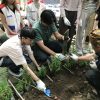 Teach for Indonesia Student Community Ajak Mahasiswa dan Volunteer Hijaukan Dago Pojok