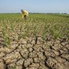 WALHI Jabar Soroti Krisis Kekeringan 2026, Desak Pemerintah Benahi Tata Kelola Lingkungan