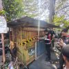 Penertiban PKL di Bandung Tak Disertai Kompensasi, Pemkot Buka Ruang Solusi Relokasi