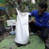 Kelurahan Sukamiskin Olah Sampah Jadi Maggot hingga Briket, Target Capai 1 Ton per Hari