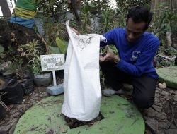 Kelurahan Sukamiskin Olah Sampah Jadi Maggot hingga Briket, Target Capai 1 Ton per Hari