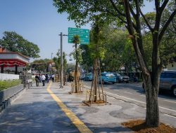 Pemotongan Pohon di Jalan Riau Disanksi, Pemkot Bandung Segel Videotron