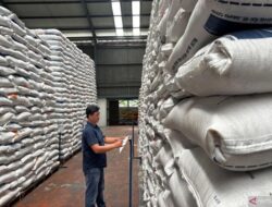 Bulog Jabar Pastikan Stok Beras 623,9 Ribu Ton Aman hingga Panen Raya 2027